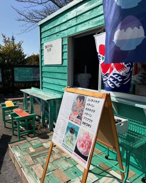 さくらの山、開花宣言です。
桜、ポチポチ咲いてます。
#さくらの山公園
#さくらの山
#さくらカフェ
#開花宣言
#ソメイヨシノ
#千葉花見スポット
#花見スポット
#成田花見スポット