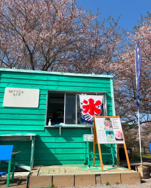 桜吹雪がとっても綺麗です。
さくらの山の桜も今週末で見納めだと思います。
ウエディングフォトを撮っていたので、一枚撮らせていただきました。
#さくらの山
#さくらカフェ
#花見
#成田花見スポット
#かき氷
#フライングホヌ