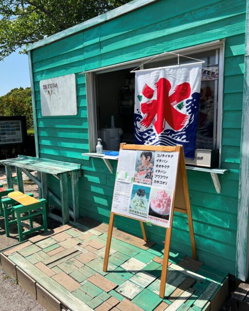 今日はクワガタ売ってます。
#さくらの山
#さくらカフェ
#かき氷
#パプアキンイロクワガタ
#虫売り