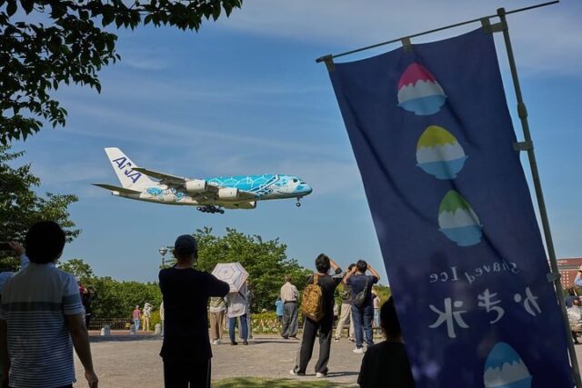 素敵な写真を頂きました。
やっぱり上手な人が撮ると違いますねー
素敵な写真をありがとうございます😊
#さくらカフェ
#さくらの山公園
#フライングホヌ
#ポケモンジェット