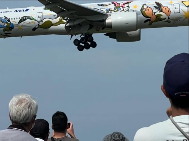 ポイント飛行機
来まくりです。
#さくらの山公園
#さくらカフェ
#ポケモン