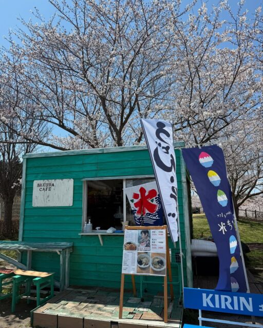 さくらの山五分咲きです🌸
5日ぶりの晴れ🌞さくらカフェ元気にやってます😃
明日も営業予定です🫡
#さくら
#さくらの山
#成田空港
#a380
#フライングホヌ
#千葉花見スポット #成田花見スポット