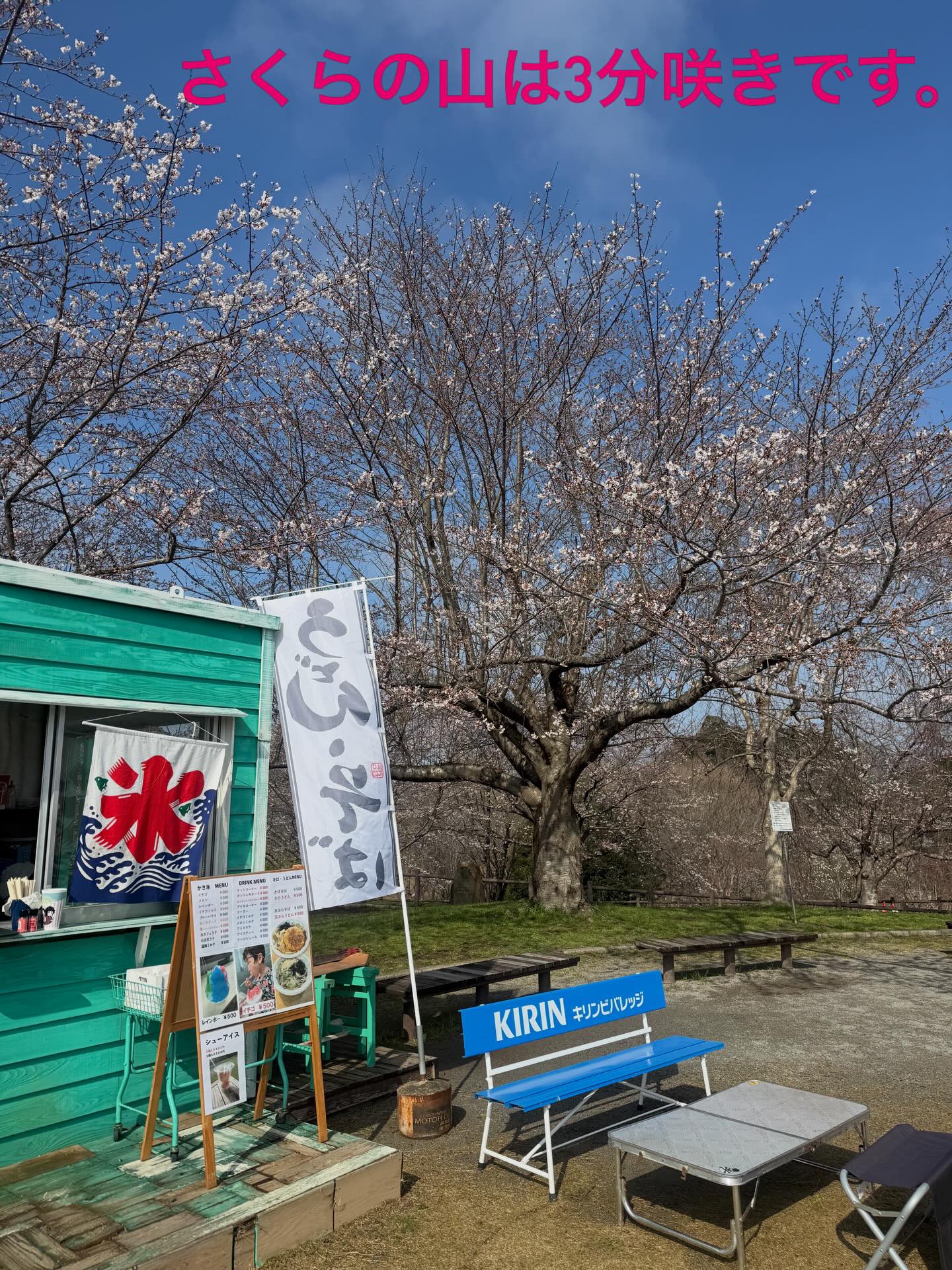 さくらの山は3分咲きとなりました。
今日は天気も良く、最高の花見日和です🌸
#さくらの山公園 
#さくらカフェ
#成田お花見スポット 
#成田おでかけスポット 
#成田空港