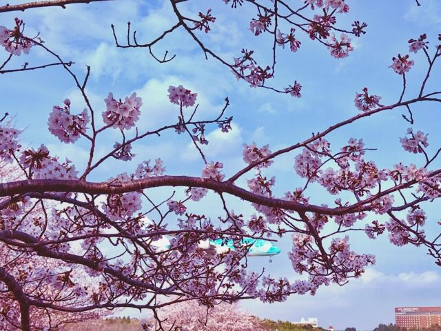 明日は天気が悪いのでお休みです。