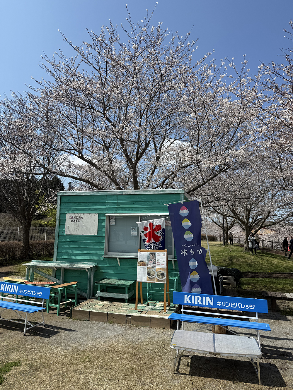 sakuracafe
